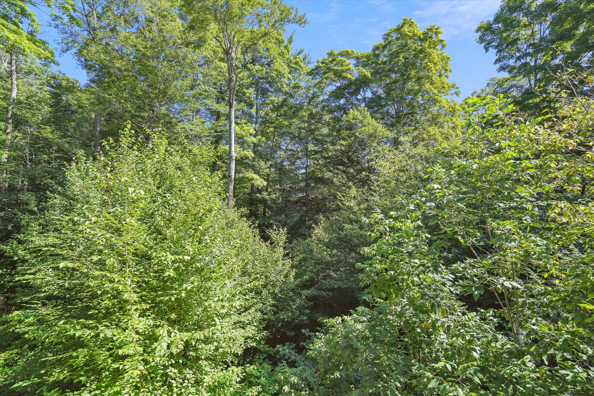 View around your lodging.