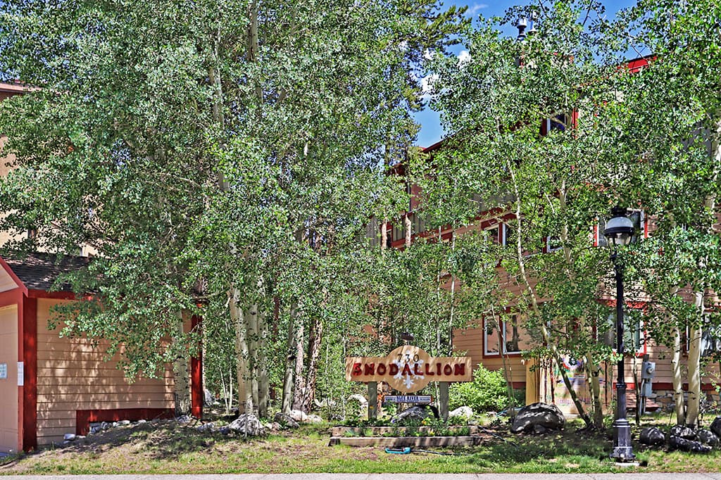 Exterior, Snodallion 25, Breckenridge Vacation Rental