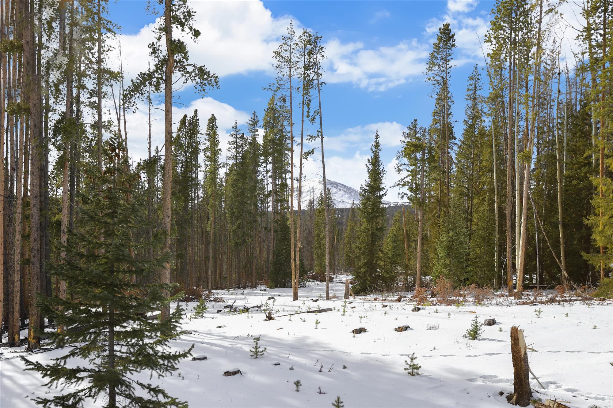 Exterior - Barton Creek Vista Breckenridge Vacation Rental