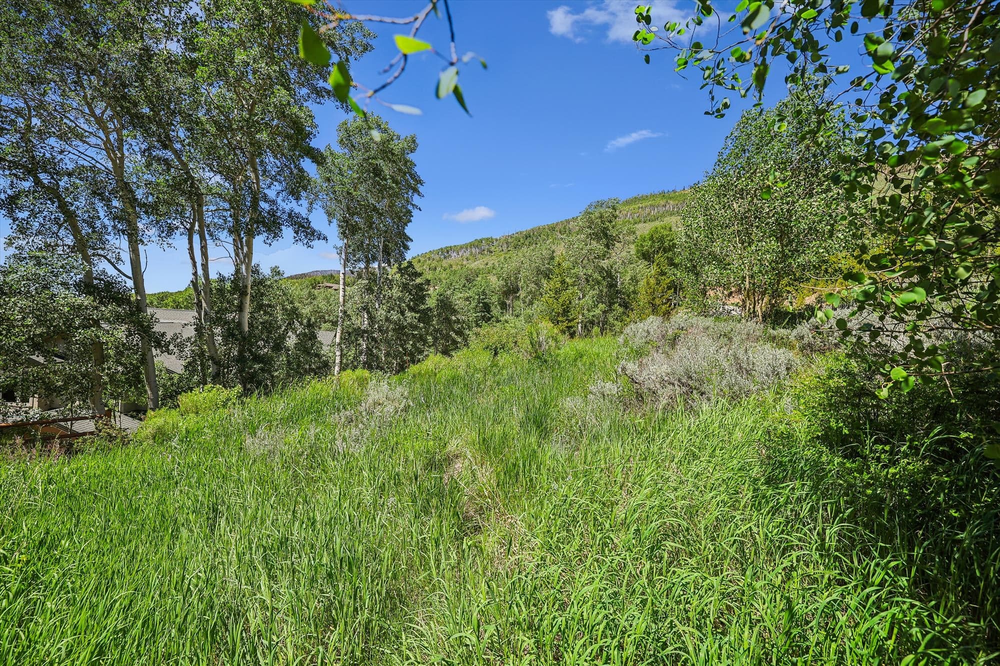 Exterior - Hamilton Creek Cabin - Silverthorne Vacation Rental