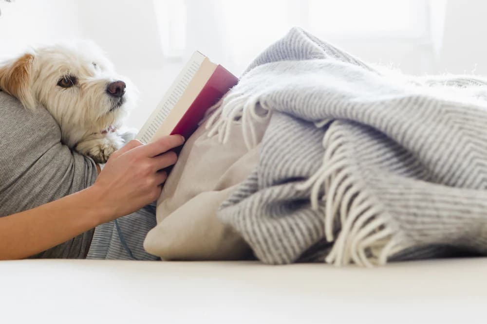 Pet-friendly
