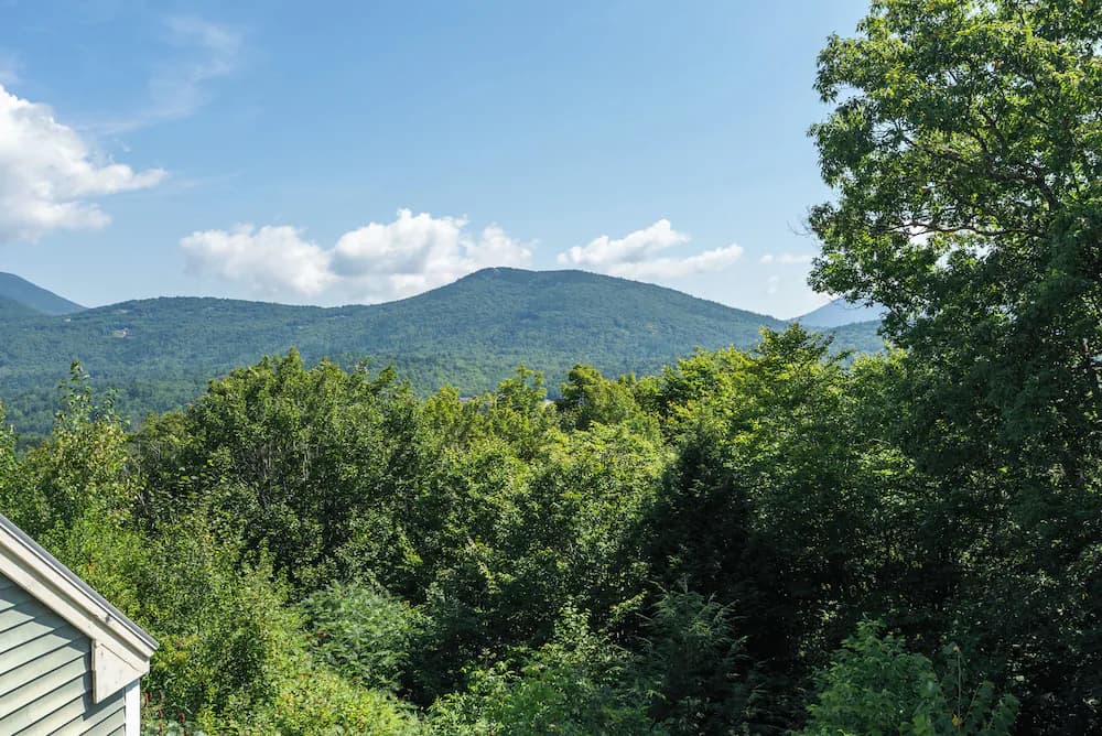 Mountain view