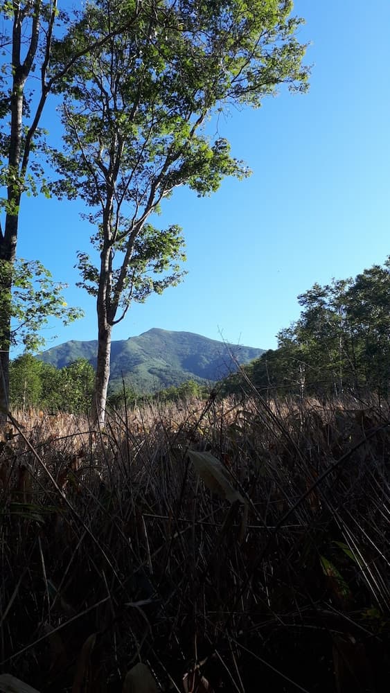 Mountain view