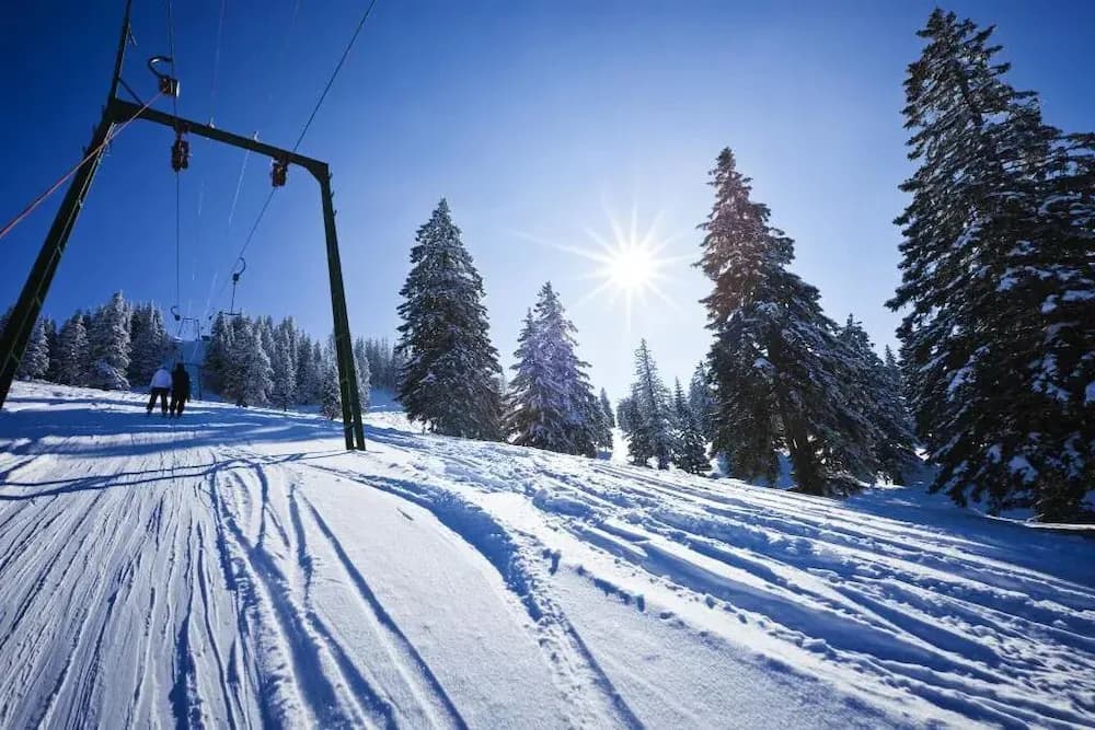 Snow and ski sports