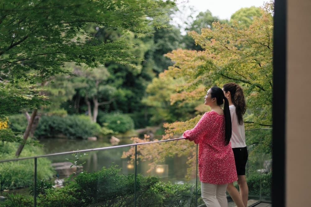View from room
