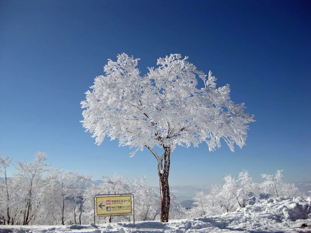 Snow and ski sports