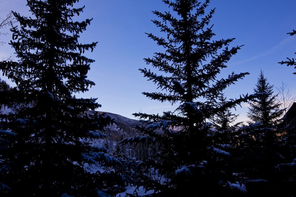 View from property
