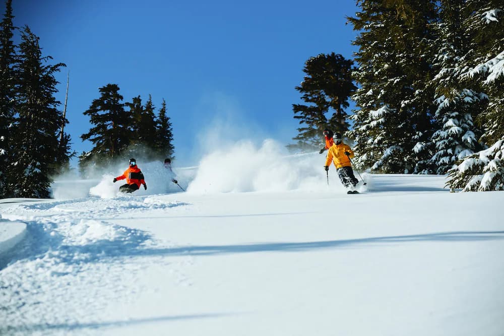 Snow and ski sports