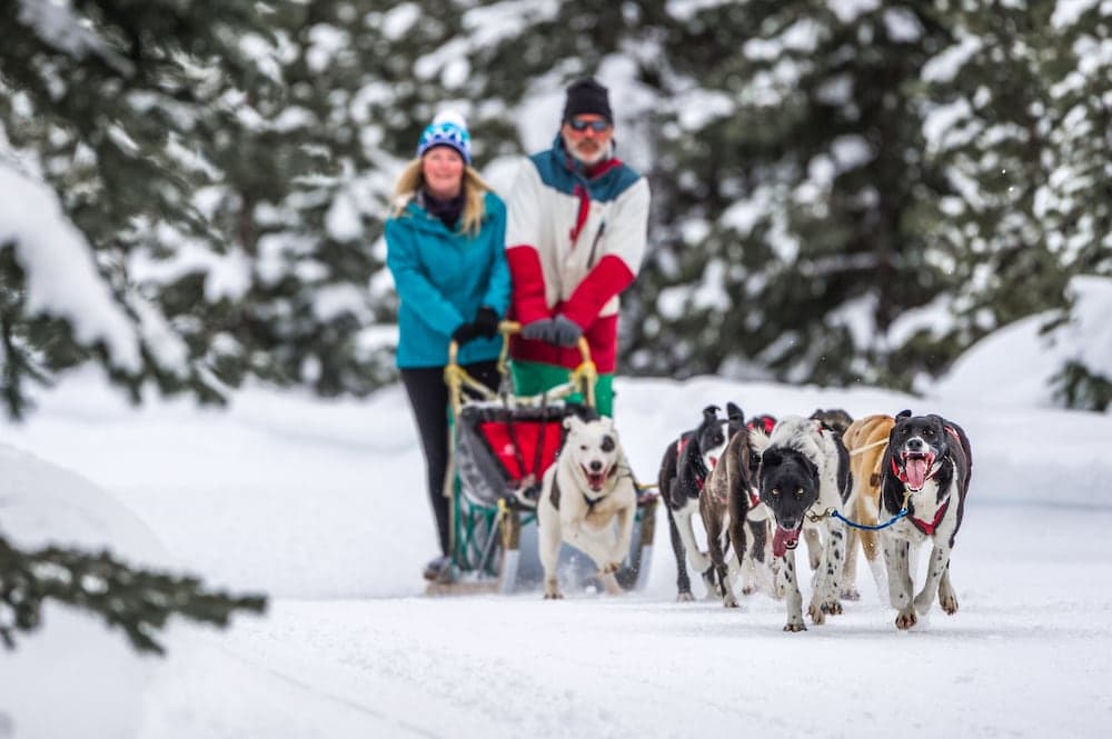 Sledding