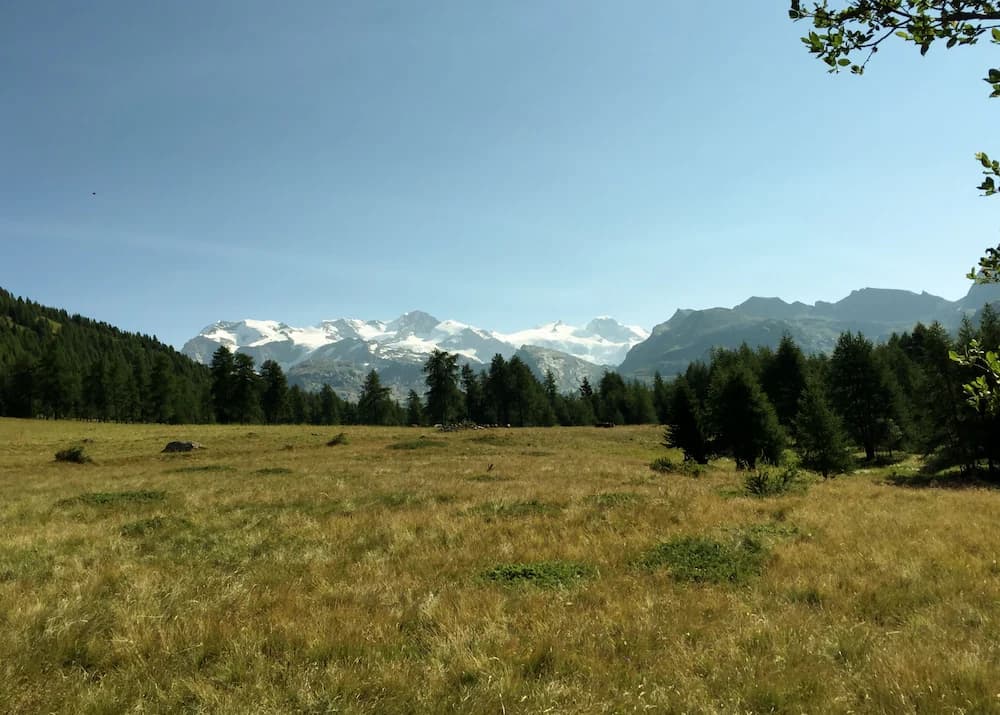 Hiking