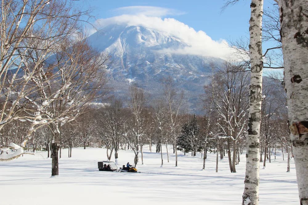 Sledding