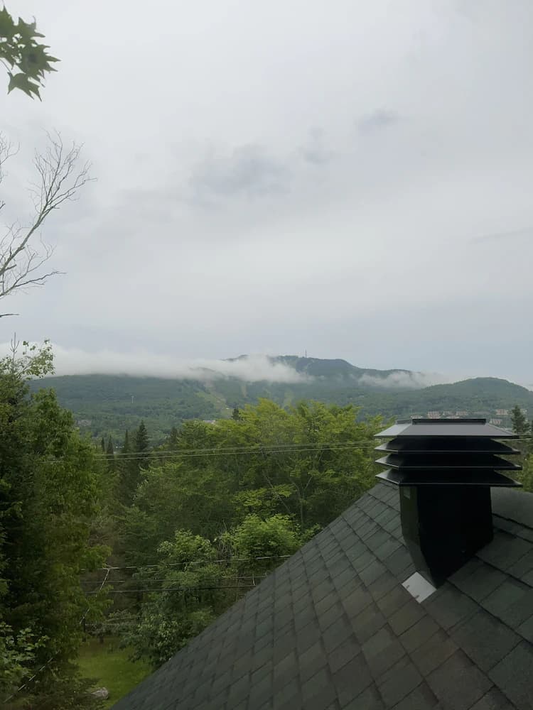 View from room