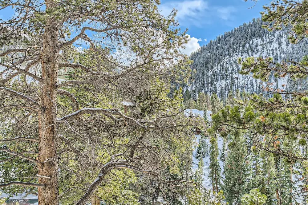 View from room