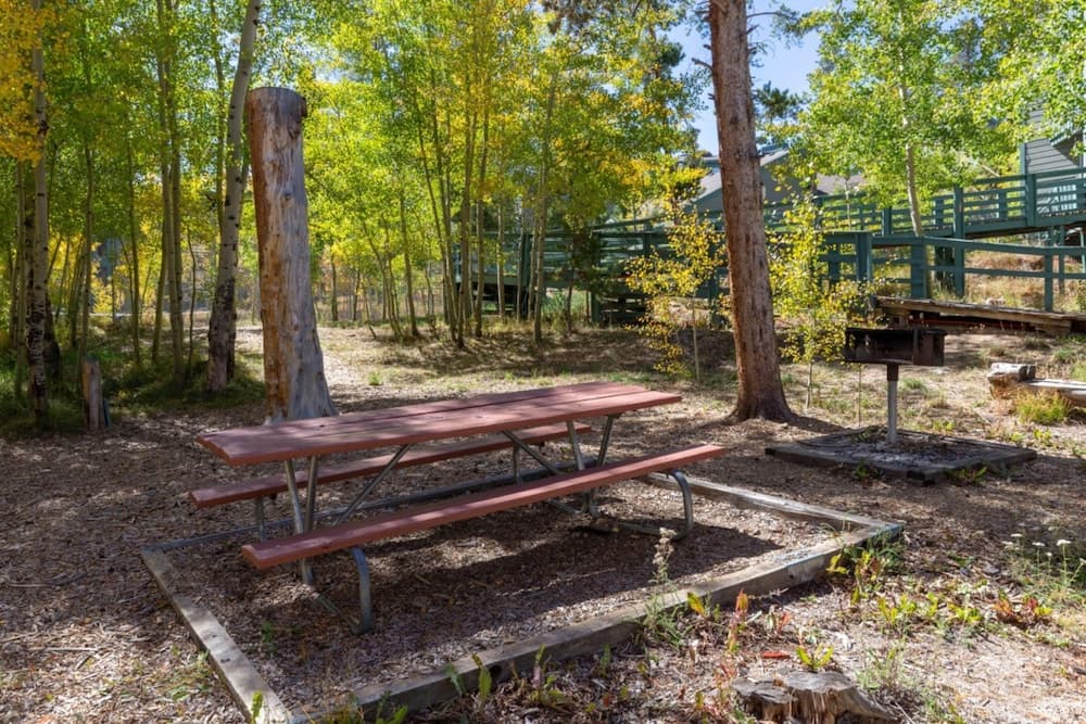 BBQ/picnic area