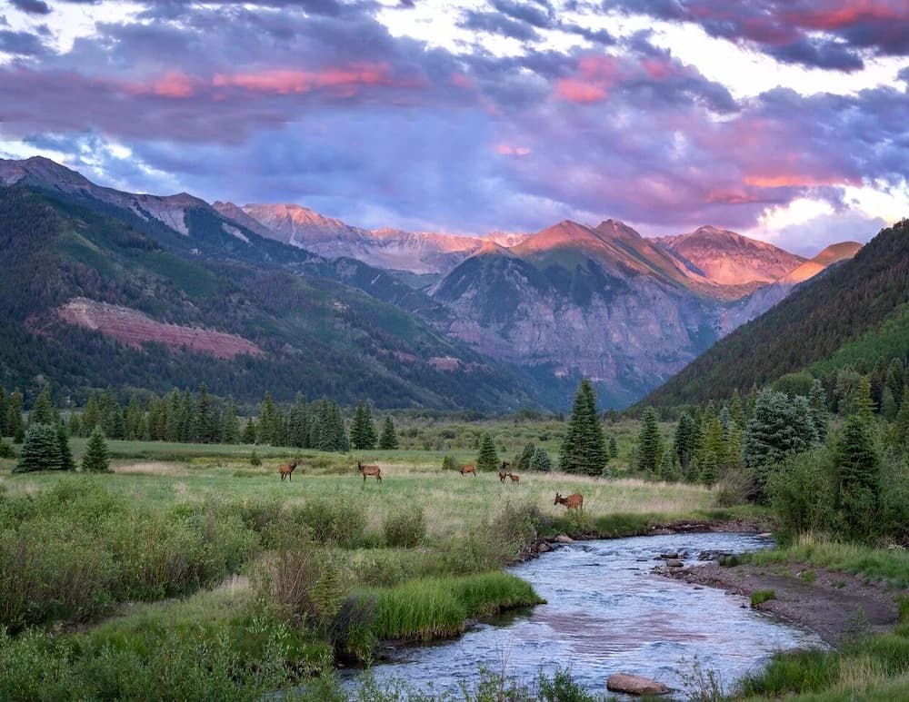 Mountain view